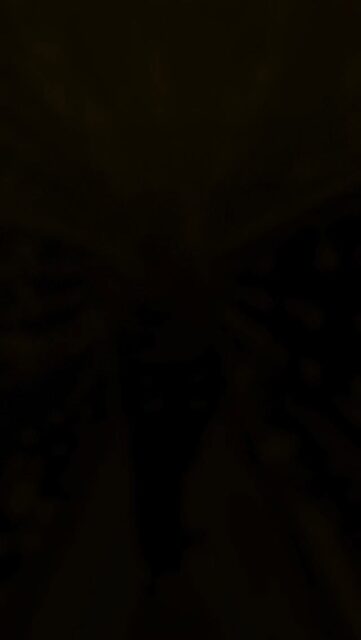 💥 Something Special Is Coming This Month! 💥
Ron said it and when Ron says it, you know it’s real.
We’re getting ready for something special, and we want to hear from you.
👉 Comment below which parts you’d like to see in our upcoming Parts Promotions.
Your suggestion might be featured next.
Stay tuned exciting updates are on the way.
#ConcordConcretePumps #PartsPromotion #ConcordParts #ConcreteIndustry #ConcretePumps #ConstructionEquipment #HeavyEquipmentDeals #ConcretePumping #ConcordBuilt #CustomerFirst #PartsSpecials